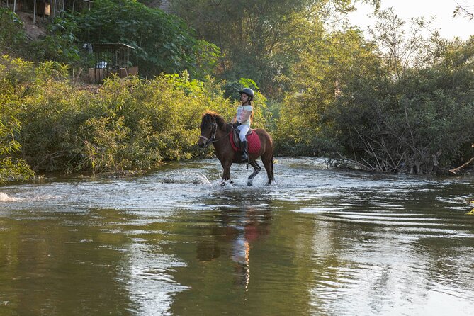 Pony Riding in Luang Prabang - Meeting the Hmong horses outside Luang Prabang