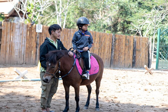 Pony Riding in Luang Prabang - The first 15 minutes: grooming and getting comfortable