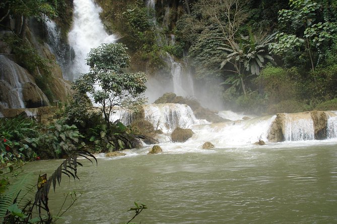 Private Tour Full-day Morning Market, Villages and Scenic Kuang Si Waterfall - The bear sanctuary adds a worthwhile animal-welfare stop