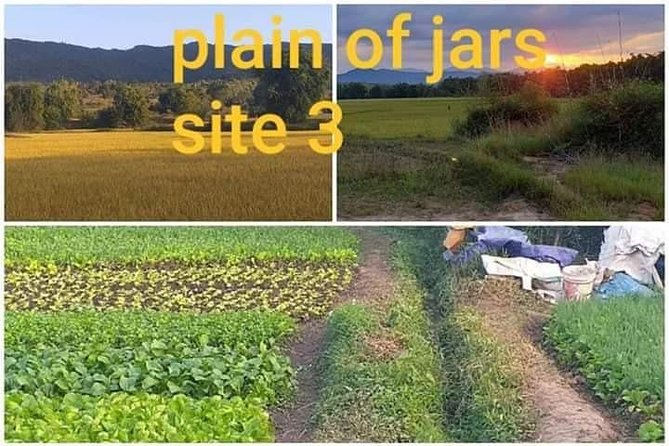 The Old capital tour combined with Plain off jars - Why this full-day Phonsavan route works