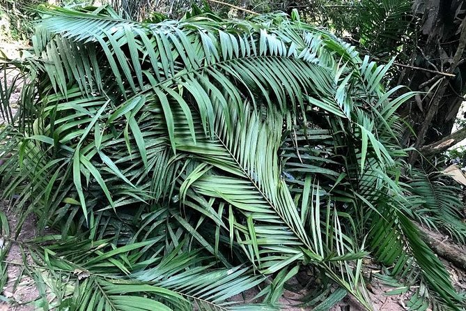 The Ultimate Hiker’s Choice - 5 days forest trek with homestay and camping - What you are signing up for in Nam Ha