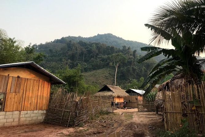 The Ultimate Hiker’s Choice - 5 days forest trek with homestay and camping - Day three: salt licks and a gentler forest pace