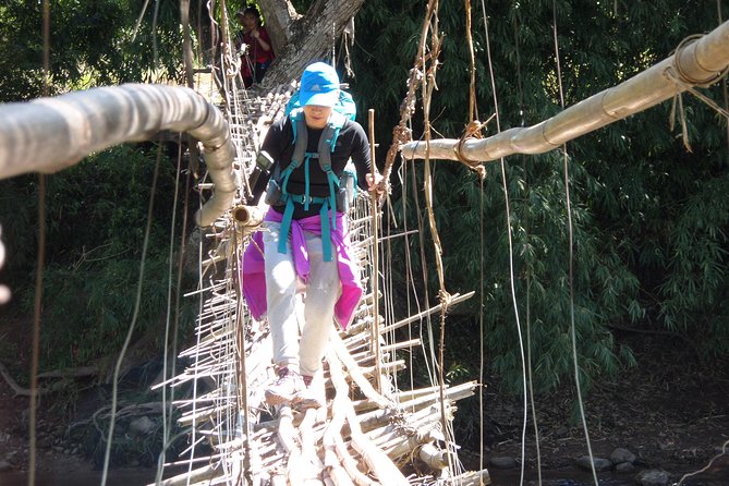The Wild Explorer - 3 days forest trek with homestay and camping - Key points at a glance