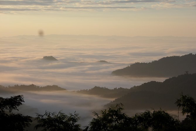 The Wild Explorer - 3 days forest trek with homestay and camping - Starting at 8:30 in Luang Namtha