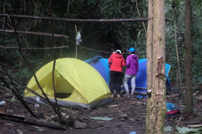 The Wild Explorer - 3 days forest trek with homestay and camping - Day two: forest skills, food, and a mountain campsite