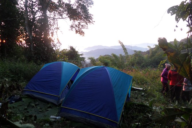 The Wild Explorer - 3 days forest trek with homestay and camping - Day three: the long walk back
