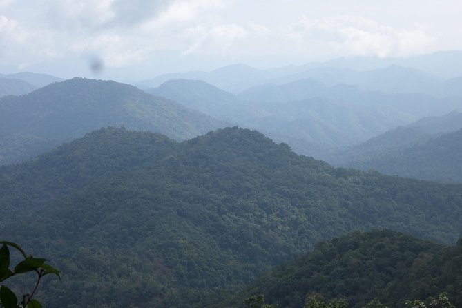 The Wild Explorer - 3 days forest trek with homestay and camping - The food is a major reason to go
