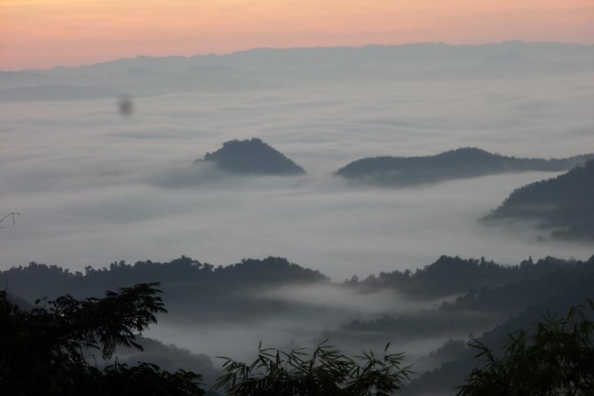 The Wild Explorer - 3 days forest trek with homestay and camping - Wildlife, expectations, and the honest trade-off