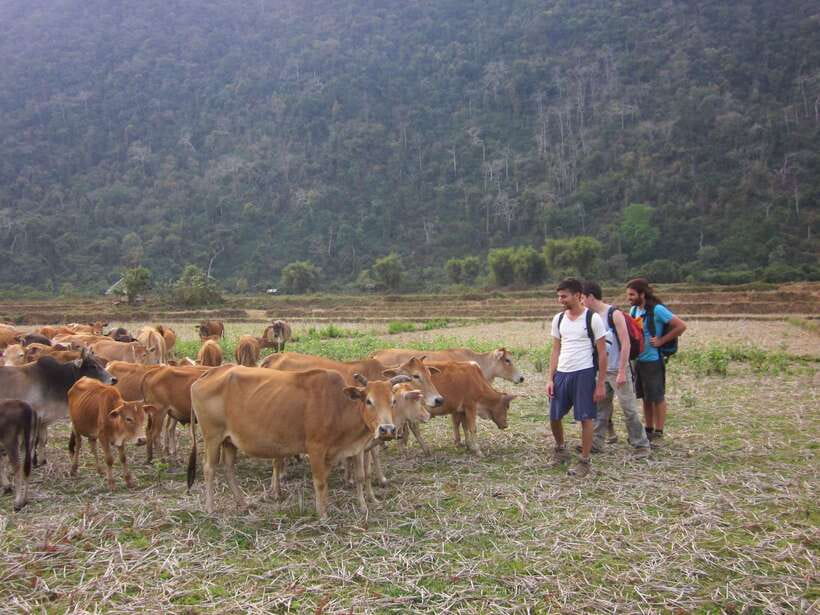 Vang Vieng: Jungle & Caves Full-Day Private Trekking Tour - Climbing the 1,500-meter ridge