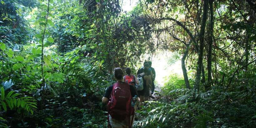 Vang Vieng: Jungle & Caves Full-Day Private Trekking Tour - Is $120 per person fair value?