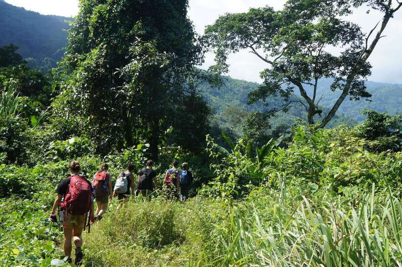Vang Vieng: Jungle & Caves Full-Day Private Trekking Tour - Should you book the Vang Vieng jungle trek?