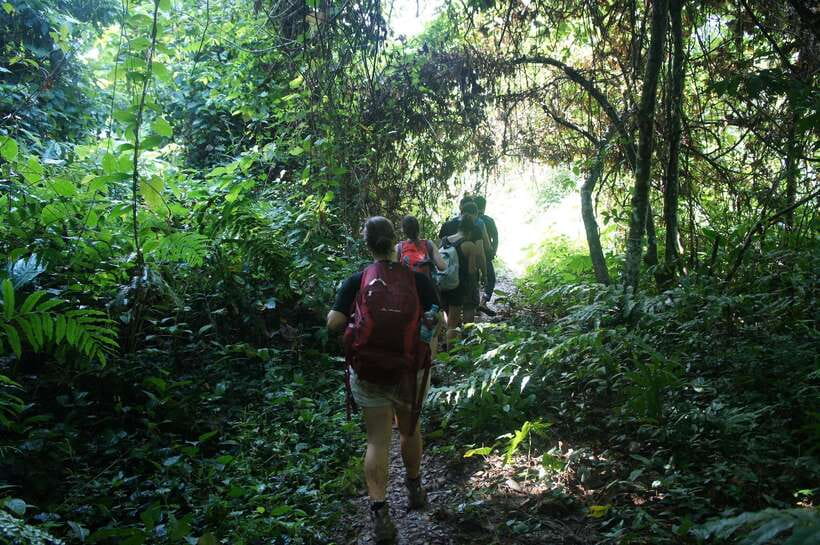 Vang Vieng: Jungle & Caves Full-Day Private Trekking Tour - Tham Hok Cave and the underground stop