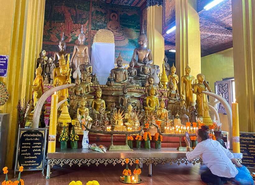 Vientiane: Cultural Tour with Buddha Park and Patuxay - Buddha Park: strange statues and a hot hour