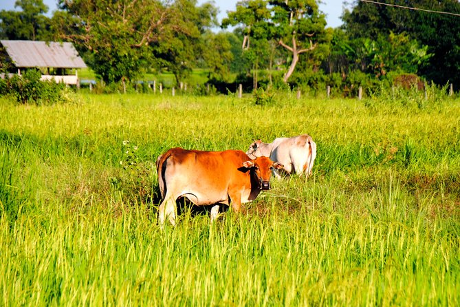 Vientiane Day Trip By Bike To Tad Moon Waterfall - Key points to know before you book