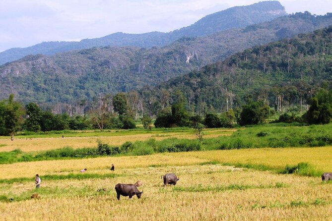 Vientiane Day Trip By Bike To Tad Moon Waterfall - Why this day trip works beyond central Vientiane